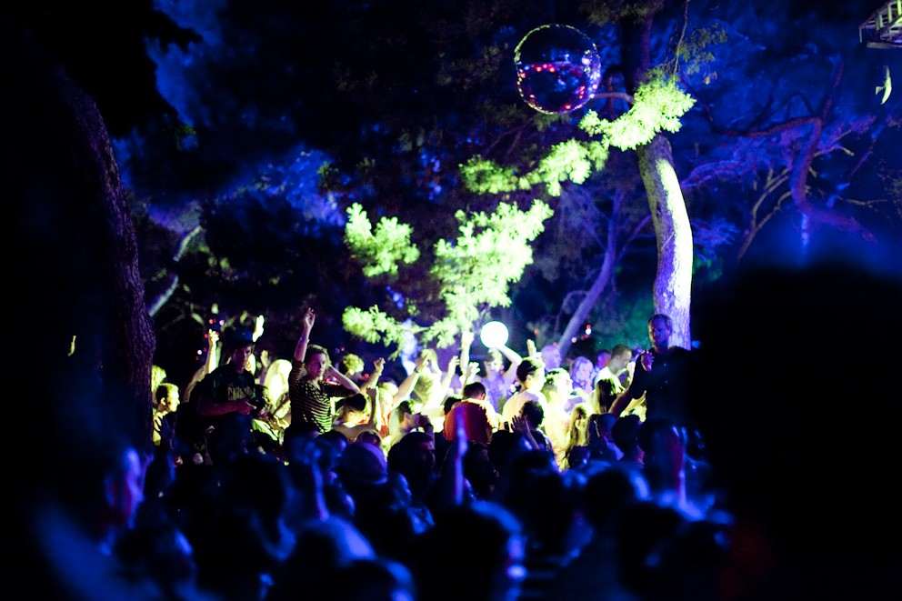 Garden Festival - copyright Sophia Spring