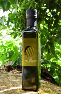 Olive oil from Peljesac won a gold medal on a competition in New York! 2 Frane Milos olive oil
