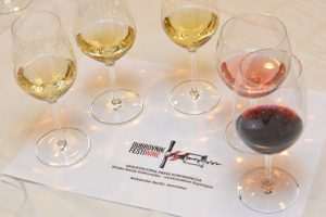 Documentary about wines announced a start of Dubrovnik FestiWine 2 FestiWine 2014
