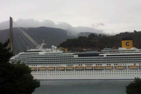 cruiser