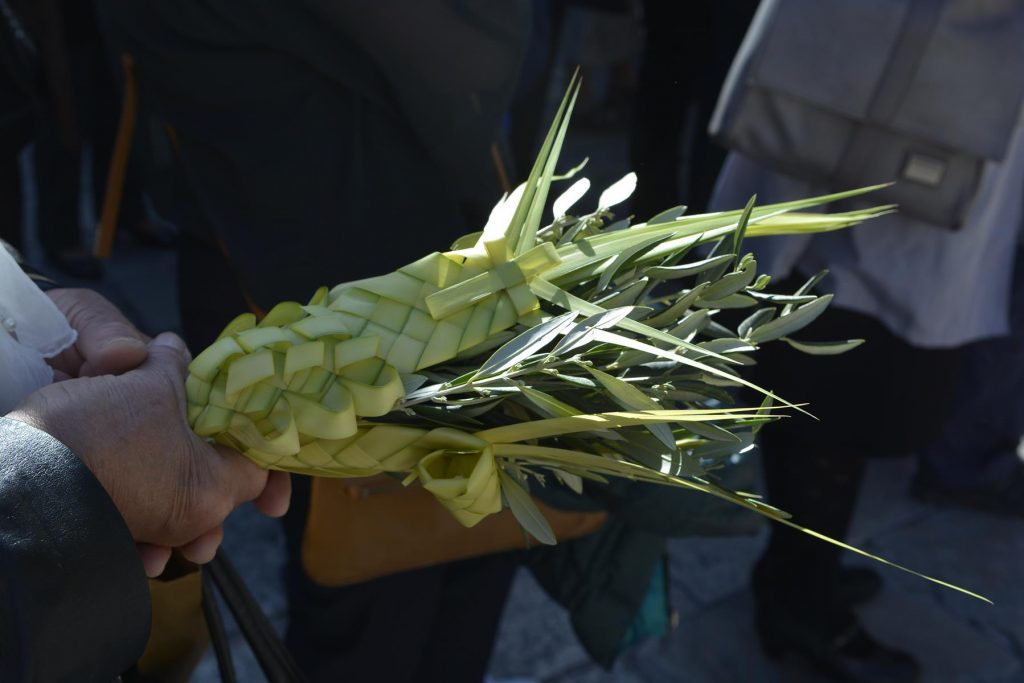 Photo Gallery: Palm Sunday in Dubrovnik 1 Palm Sunday 26