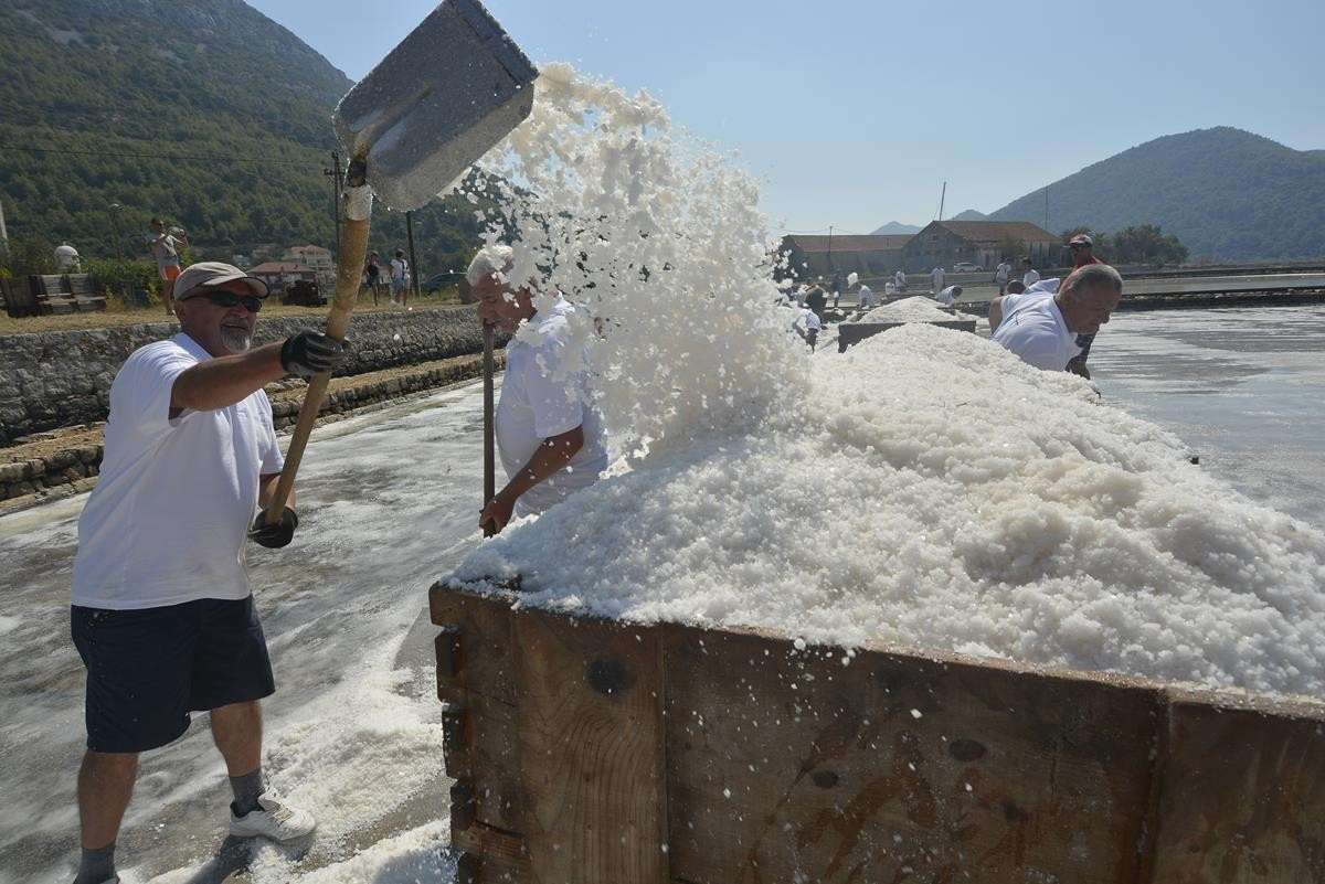 Video and Photo Gallery: We Spent a Day in a Saltern Ston Picking Up 'Fleur de Sel'... 1 Salt Collecting Ston 59
