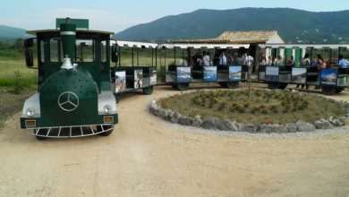 Scenic train ride through Konavle valley 1 Scenic train ride through Konavle valley