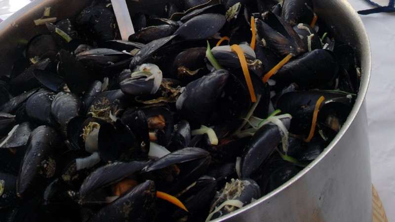 Mussels Buzara