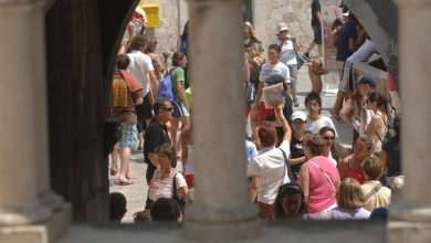 cruiser turisti guzva621