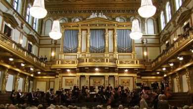 Dubrovnik Symphony Orchestra delights Vienna 29 Dubrovnik Symphony Orchestra