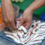 Sushi Cuisine In Cavtat