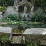 trsteno arboretum7404