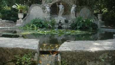 Trsteno Arboretum Open Day 1 trsteno arboretum7404