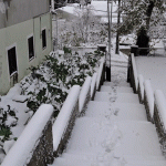 Snow on Pelješac