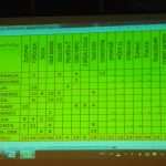 Green Menestra Festival in Konavle