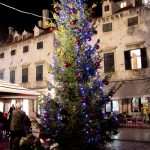 Bright Lights, Magic City 3 Magic lights on Stradun, Dubrovnik