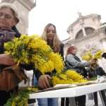 Dubrovnik Against Cervical Cancer 8 Mimoza day - Dubrovnik Against Cervical Cancer