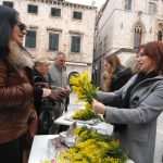 Dubrovnik Against Cervical Cancer 6 Mimoza day - Dubrovnik Against Cervical Cancer