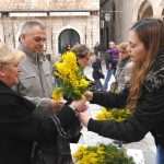 Dubrovnik Against Cervical Cancer 5 Mimoza day - Dubrovnik Against Cervical Cancer