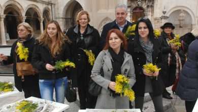 Mimoza day - Dubrovnik Against Cervical Cancer