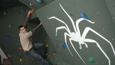 Reaching New Heights 7 Climbing wall - Spider