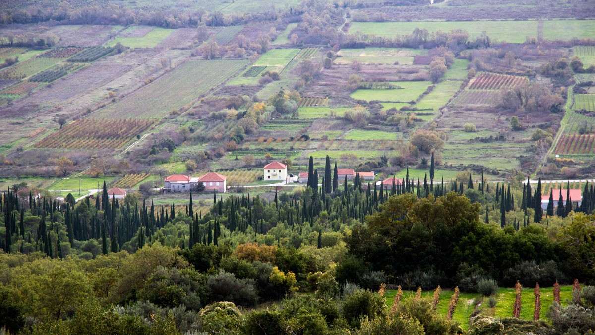 Florio Car Konavle