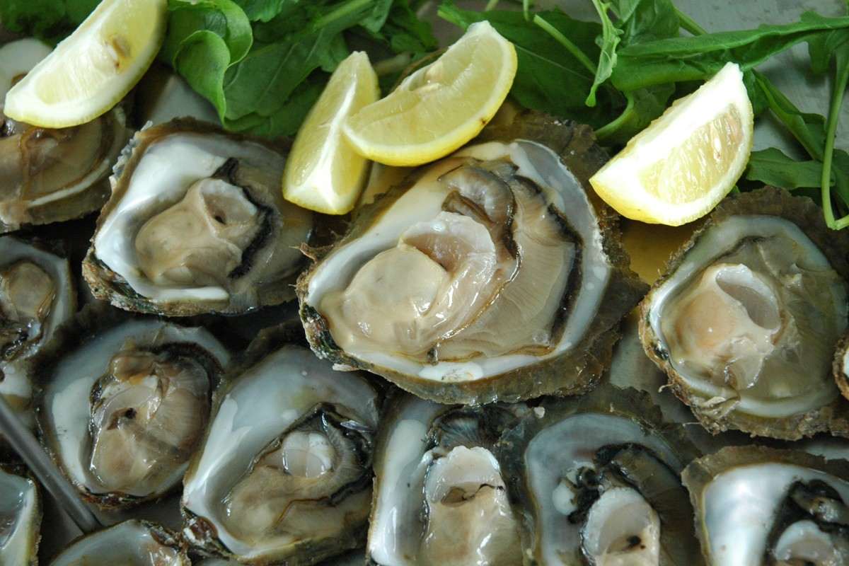 Oysters in Ston