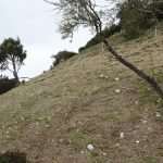 Volunteers Help Park Orsula in Dubrovnik