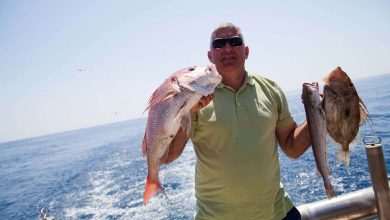 Become A Fisherman With Gulliver 1 Fishing trip with Gulliver Travel
