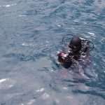 Divers Search For Missing Tourist Philipp Hochhuth In Old Harbour 9 Divers Search For Missing Tourist Philipp Hochhuth In Old Harbour