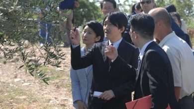 Japanese Prince Akishino thrilled with olives from Konavle 29 Japanese Prince Akishino visits Konavle
