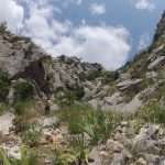 Discover Fairies' Cave 11 'Fairies' Cave' near the Ombla river in Dubrovnik