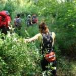 Discover Fairies' Cave 3 'Fairies' Cave' near the Ombla river in Dubrovnik