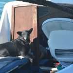Photo Gallery: Gruz Harbour 9 Gruz 9