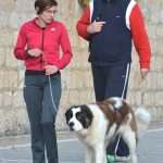 Autumn Sunshine In Dubrovnik 11 Autumn sun 11