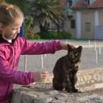 Autumn Sunshine In Dubrovnik 12 Autumn sun 12