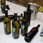 Dubrovnik Wine Festival And Bitter Orange Day 16 Wine and Orange Festival 15