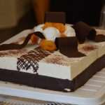 Dubrovnik Wine Festival And Bitter Orange Day 3 Wine and Orange Festival 5