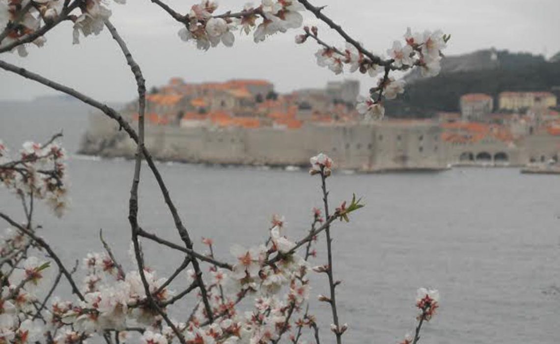 Dubrovnik in top ten spring destinations