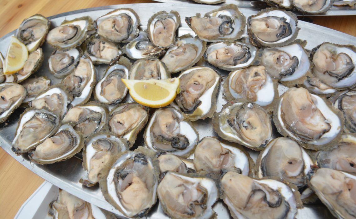 Ston Oyster Day