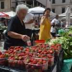 Spring Sunshine In Dubrovnik 3 green market