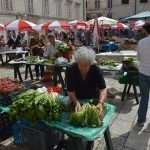 Spring Sunshine In Dubrovnik 4 green market