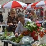 Spring Sunshine In Dubrovnik 5 green market