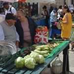 Spring Sunshine In Dubrovnik 7 green market
