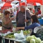 Spring Sunshine In Dubrovnik 8 green market