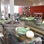 karisma-kalamota (1)