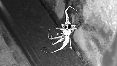 10-Gnomes-In-Dubrovnik