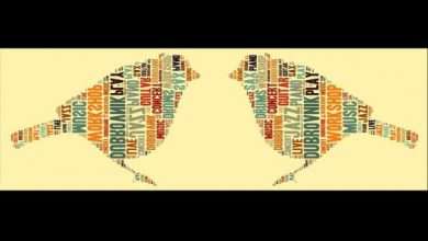 Dubrovnik will welcome autumn with free music workshops and concerts 45 workshops Lazareti