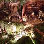 The Christmas shop - a place where magic lives 3 skaramuca christmas shop