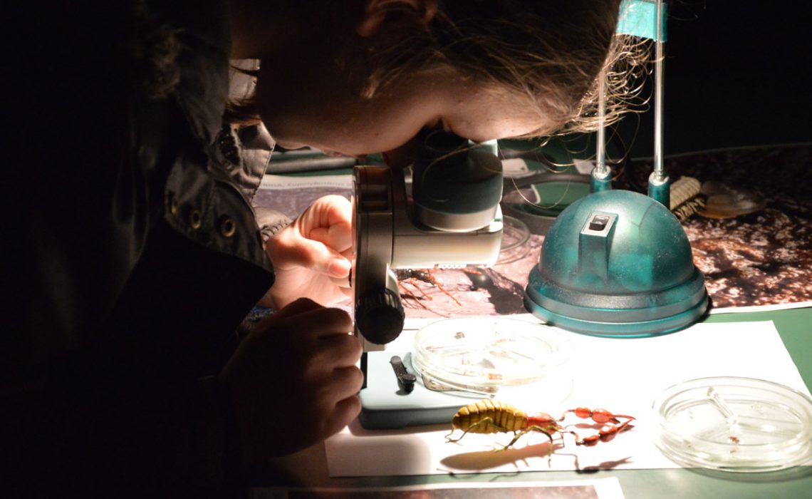 Children workshops in Aquarium