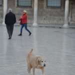 Photo Gallery: Dubrovnik in the morning! 2 Dubrovnik today