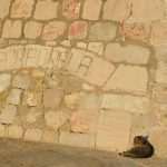 Photo Gallery: Dubrovnik in the morning! 11 Dubrovnik today