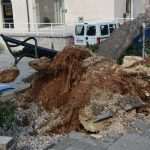 The white fluffy surprise in Dubrovnik 26 storm