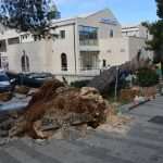 The white fluffy surprise in Dubrovnik 20 storm